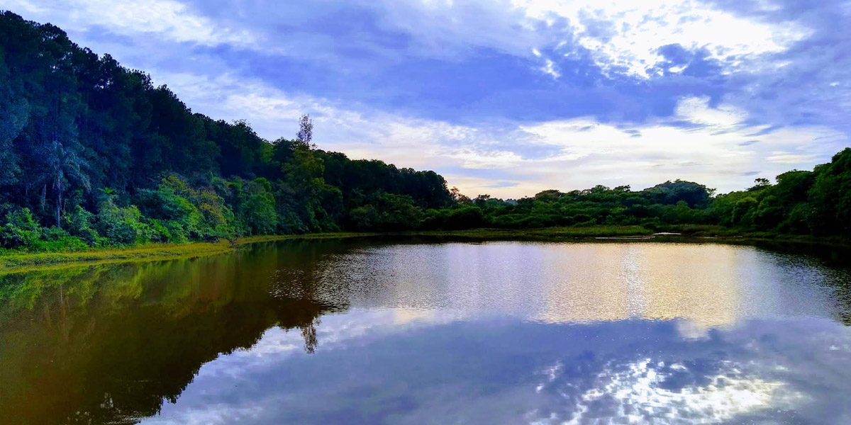 Turismo em São Carlos, São Paulo