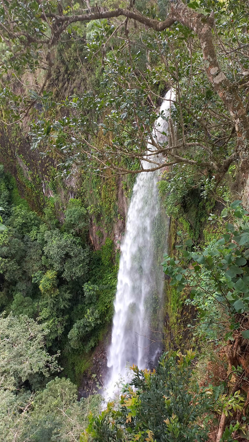 Cachoeiras da região